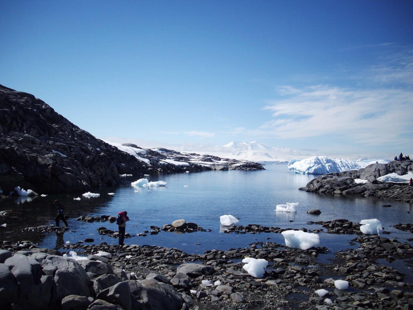 antarctica booth island 2