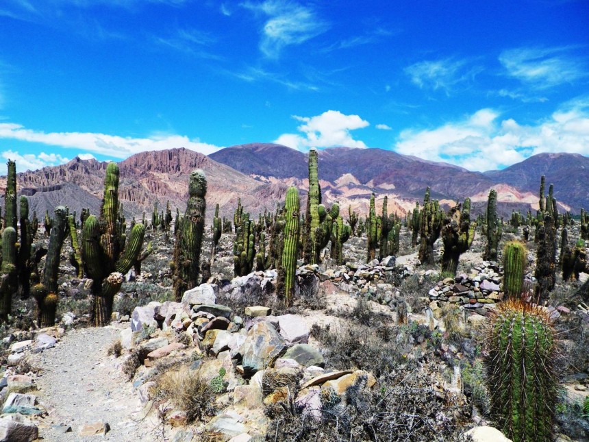 argentina salta jujuy one day from salta 6